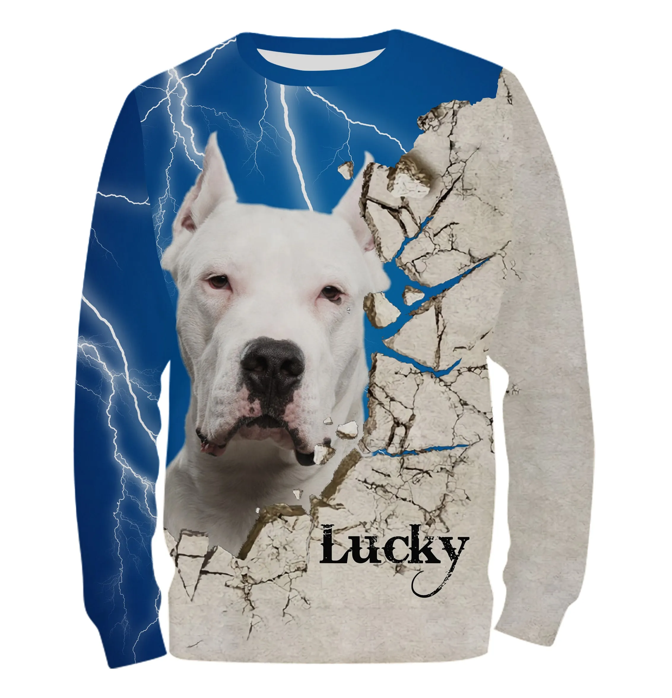 Dogue Argentin Chien, Dogo Argentino, T-shirt, Sweat à Capuche Pour Homme, Femme, Cadeau Personnalisé - CTS13042209