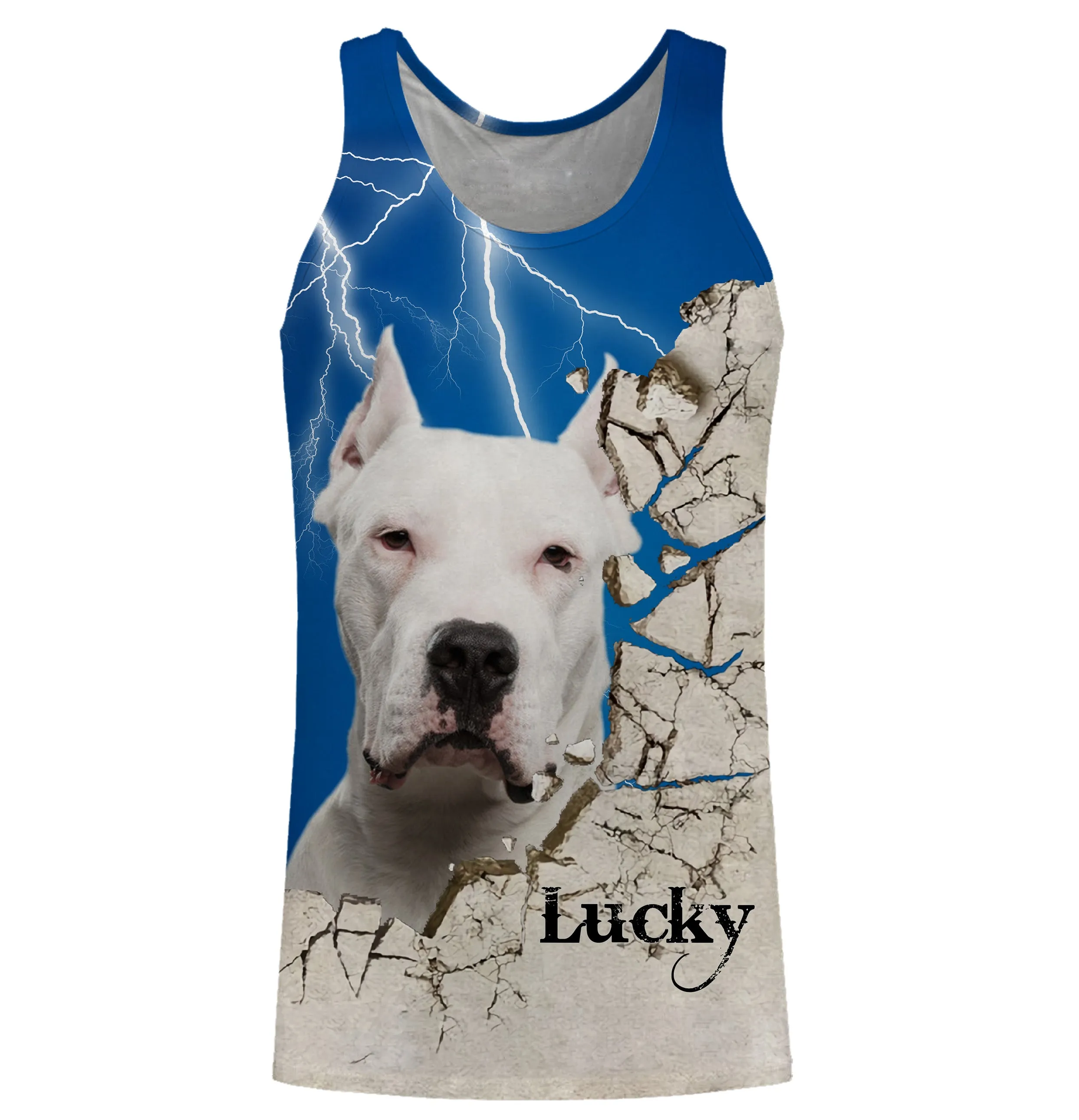 Dogue Argentin Chien, Dogo Argentino, T-shirt, Sweat à Capuche Pour Homme, Femme, Cadeau Personnalisé - CTS13042209