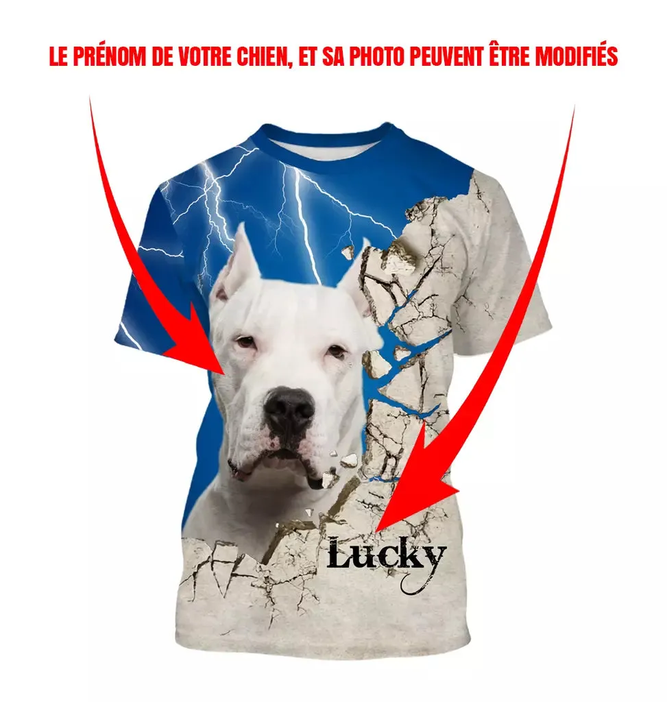 Dogue Argentin Chien, Dogo Argentino, T-shirt, Sweat à Capuche Pour Homme, Femme, Cadeau Personnalisé - CTS13042209